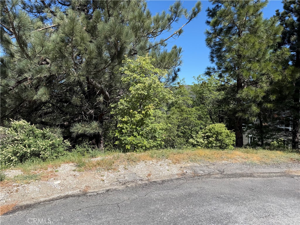 30029 Enchanted Way Running Springs, CA 92382 - Photo 8 of 8 a view of a yard with a tree