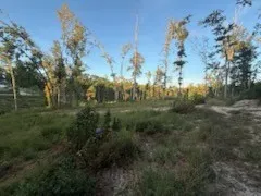 a view of a green field with lots of bushes