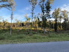 0 Jones Creek Road White Bluff, TN 37187 - Photo 24 of 29 a view of a forest with a house