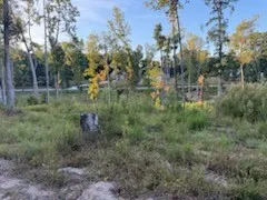 a black and white photo of a black and white photo