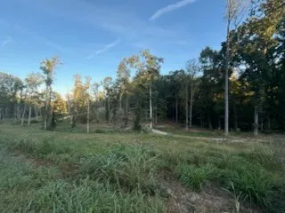 a view of outdoor space and green field