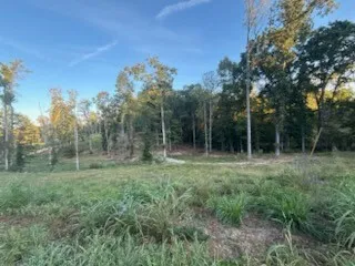 a view of a field with trees in background