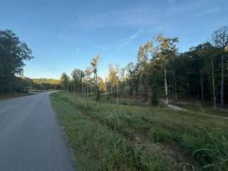 0 Jones Creek Road White Bluff, TN 37187 - Photo 8 of 29 a view of a field with trees in background