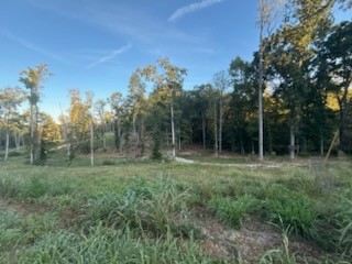0 Jones Creek Road White Bluff, TN 37187 - Photo 10 of 29 a view of outdoor space and yard