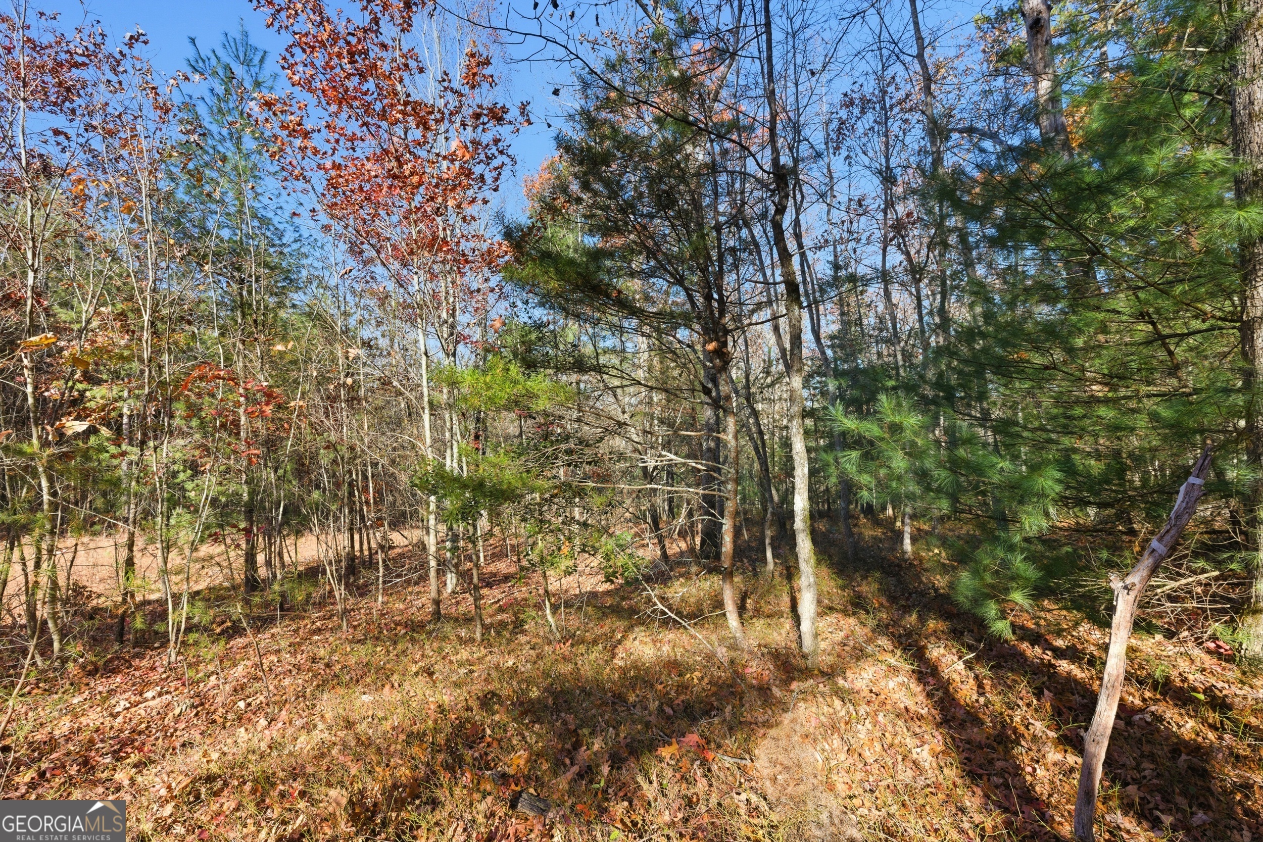 0 Buckhorn Road Clarkesville, GA 30523 - Photo 12 of 21