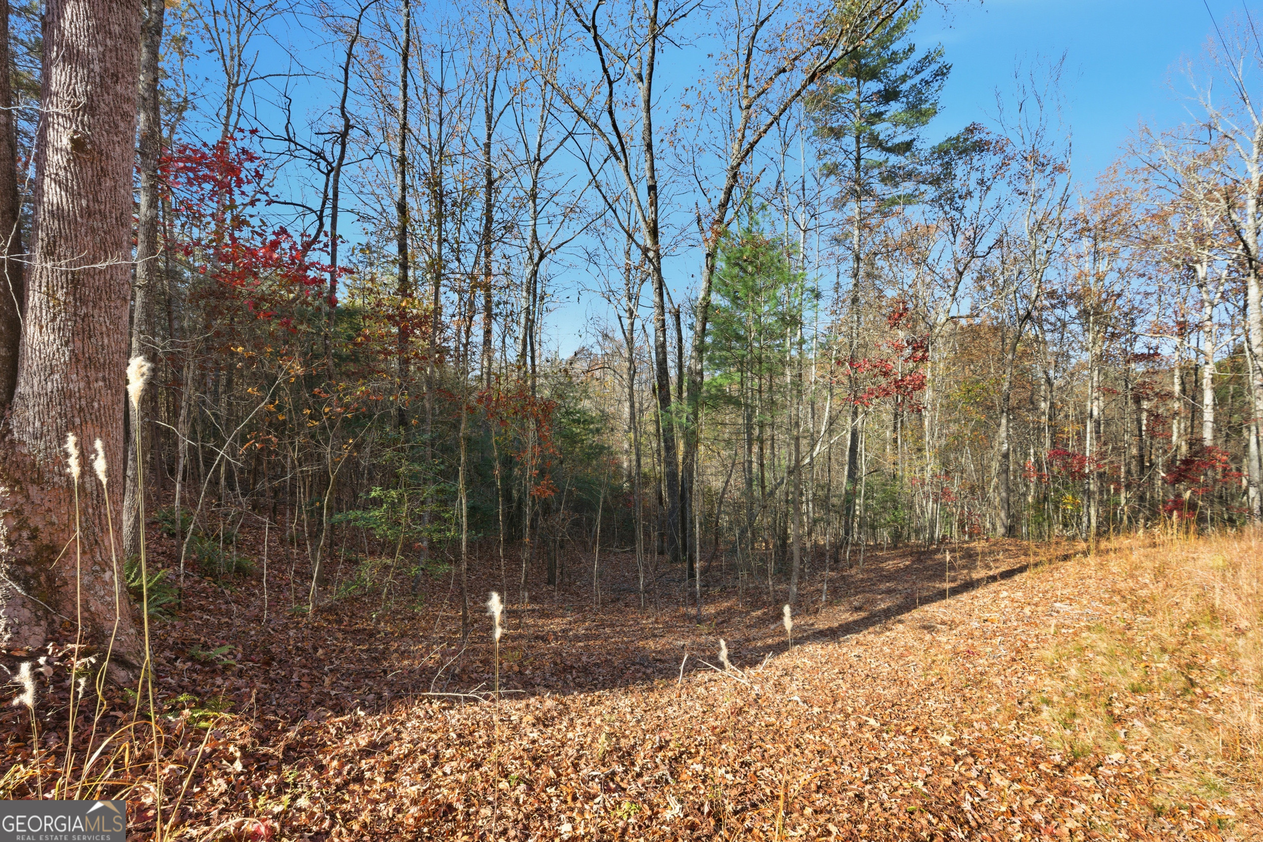 0 Buckhorn Road Clarkesville, GA 30523 - Photo 16 of 21