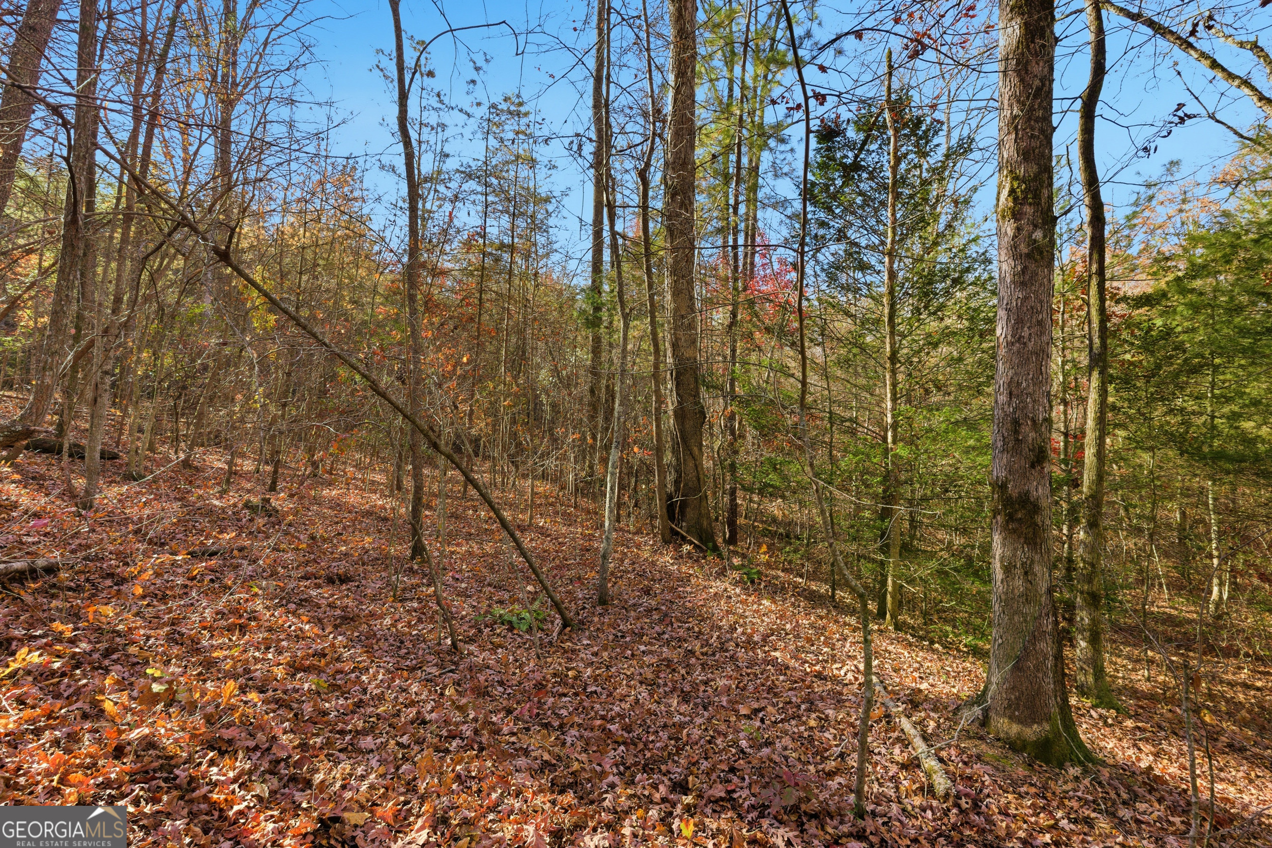 0 Buckhorn Road Clarkesville, GA 30523 - Photo 17 of 21