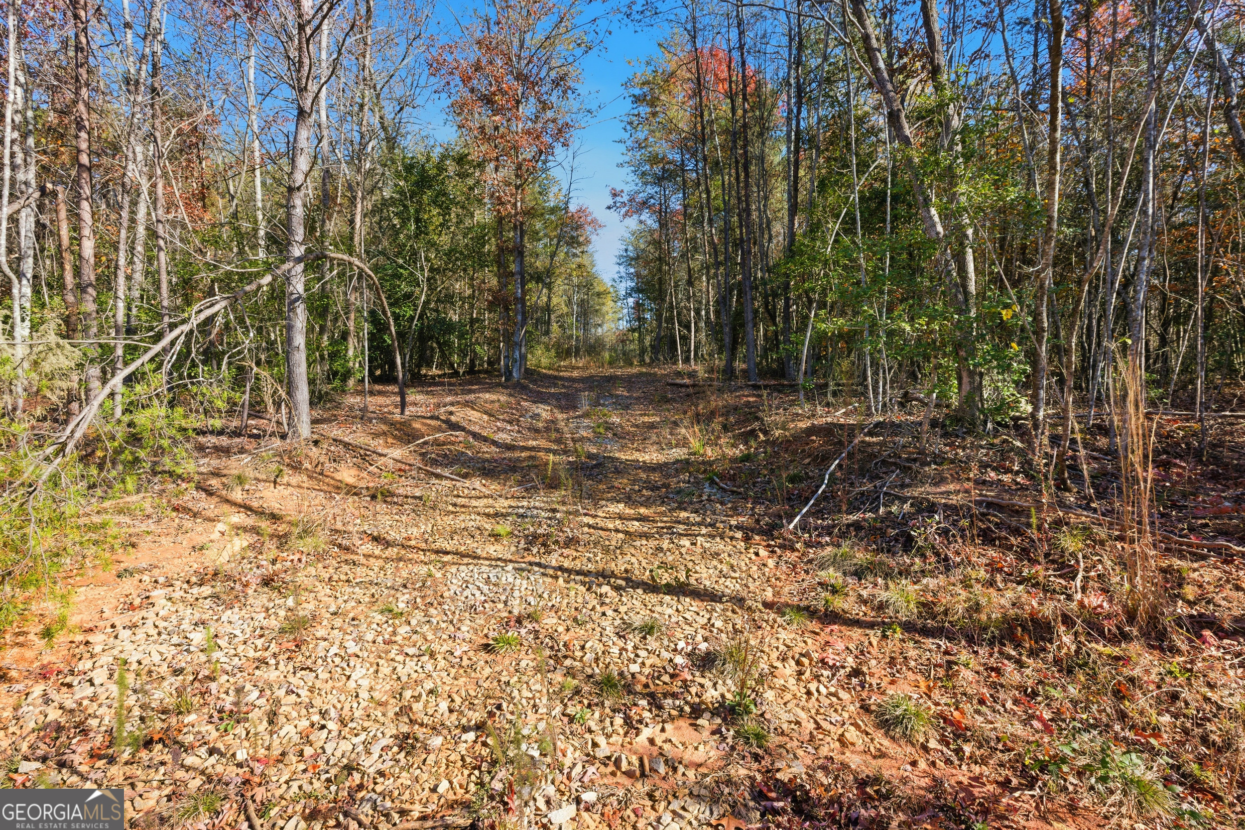 0 Buckhorn Road Clarkesville, GA 30523 - Photo 19 of 21