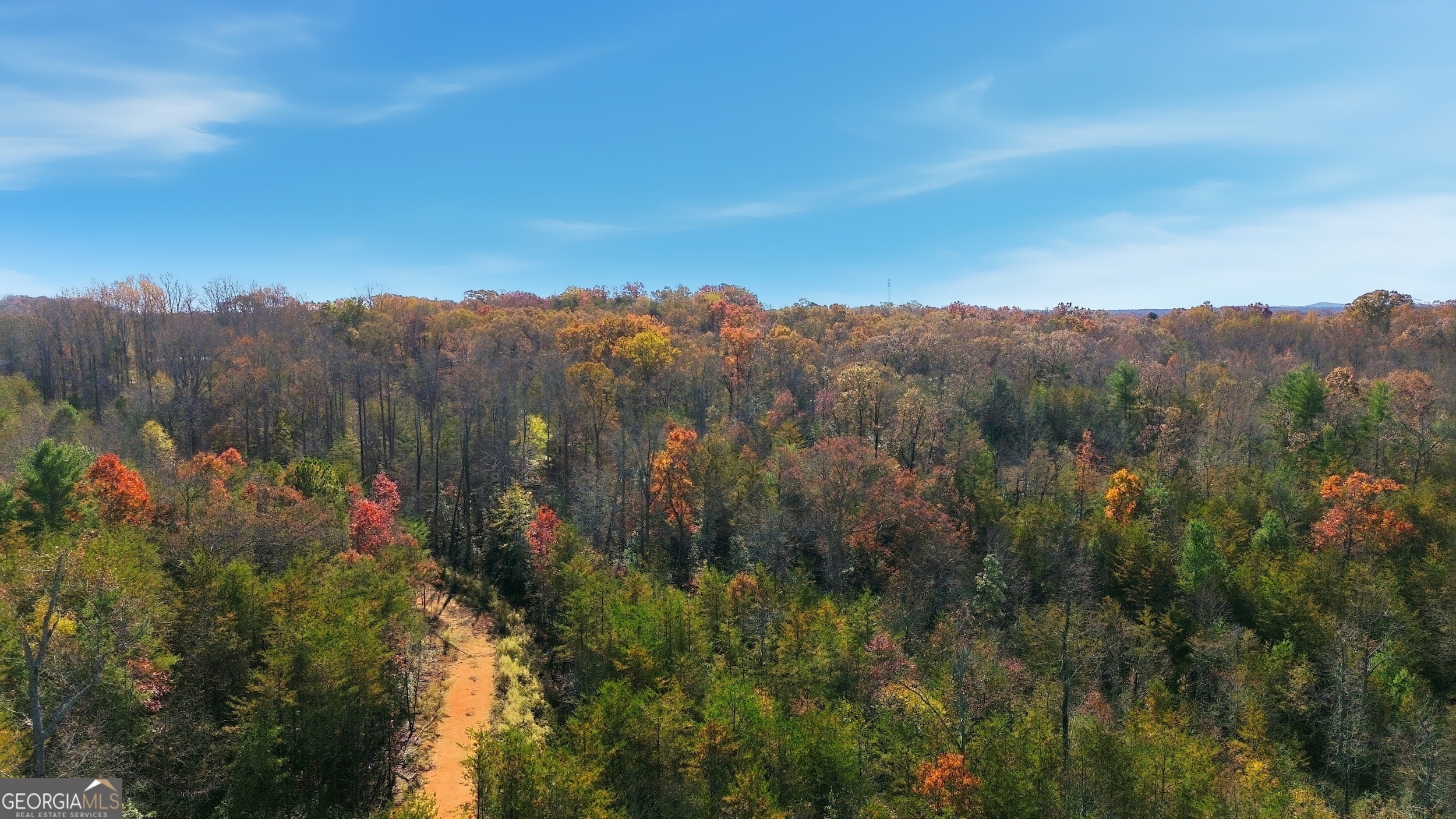 0 Buckhorn Road Clarkesville, GA 30523 - Photo 21 of 21