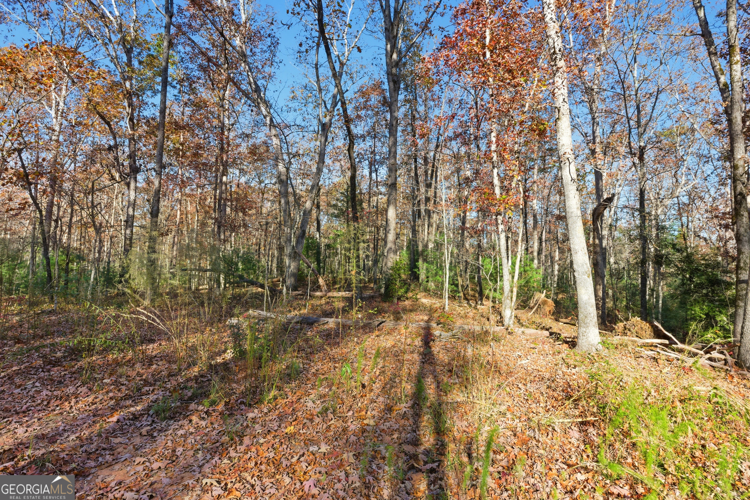 0 Buckhorn Road Clarkesville, GA 30523 - Photo 4 of 21