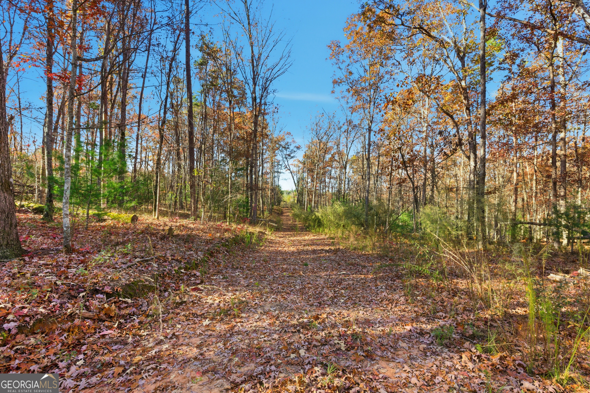 0 Buckhorn Road Clarkesville, GA 30523 - Photo 5 of 21
