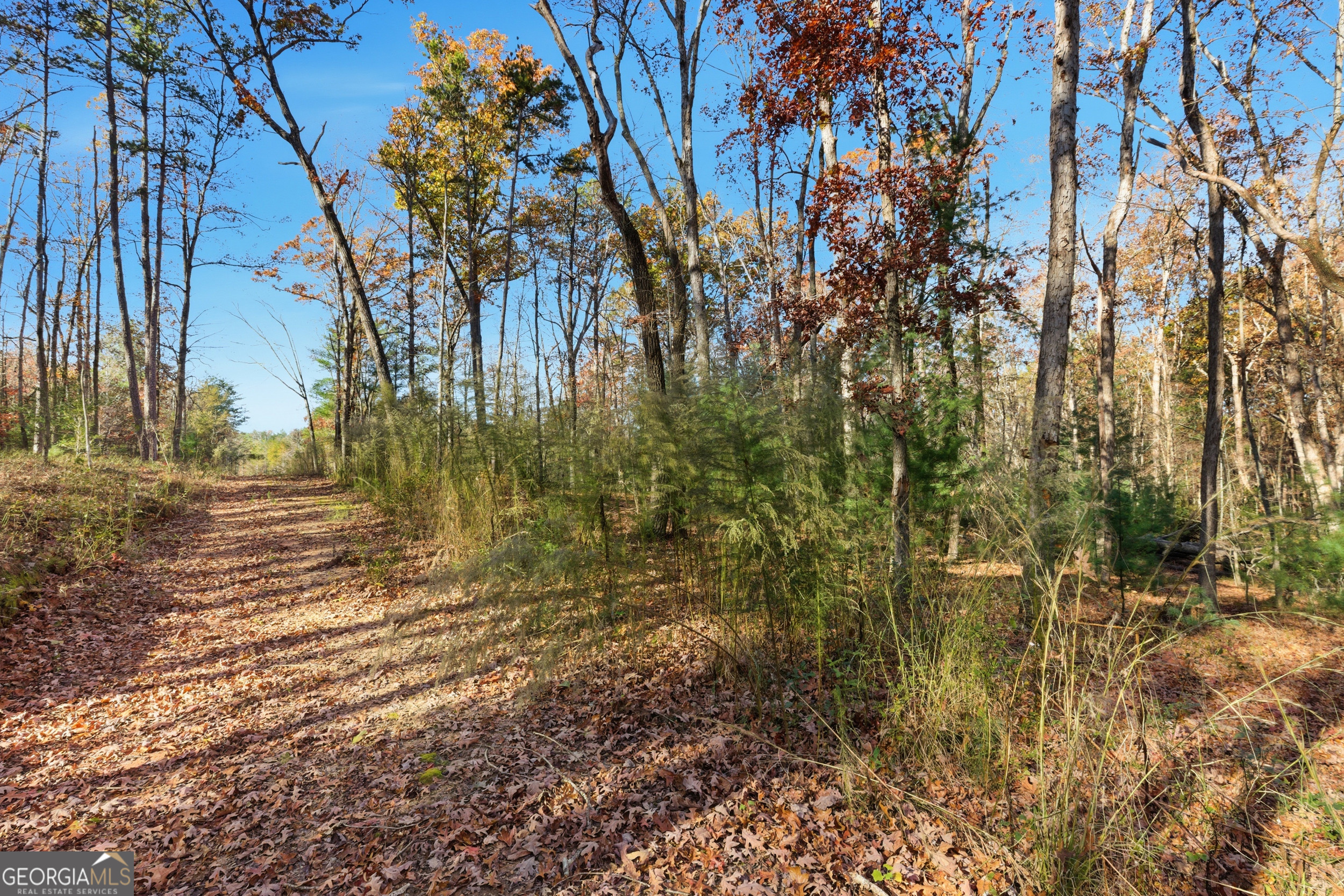 0 Buckhorn Road Clarkesville, GA 30523 - Photo 7 of 21
