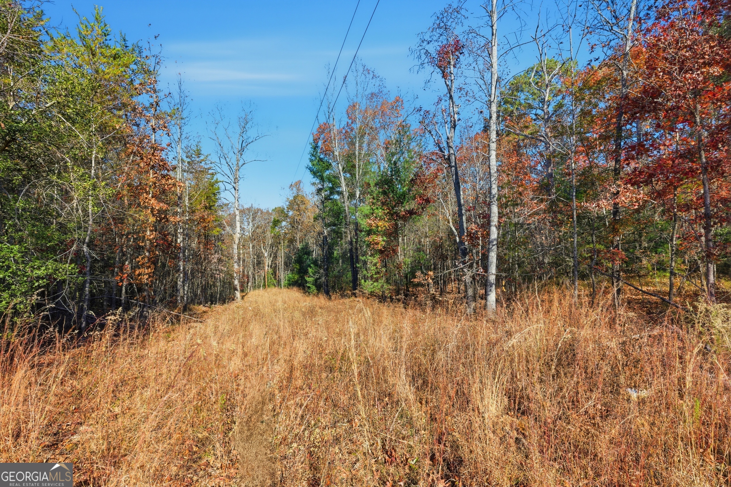 0 Buckhorn Road Clarkesville, GA 30523 - Photo 9 of 21