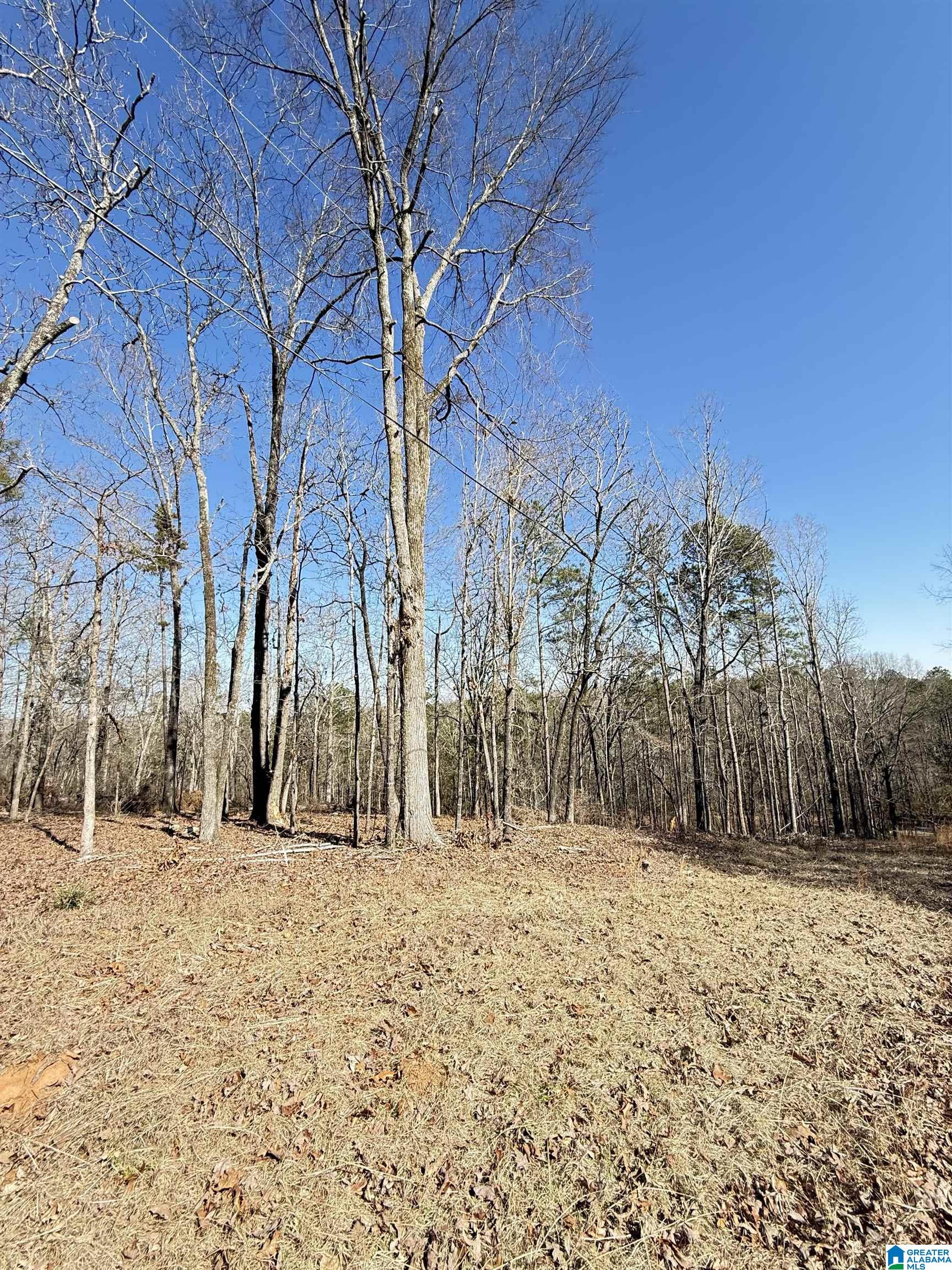 295 Country Lane Talladega, AL 35160 - Photo 6 of 42