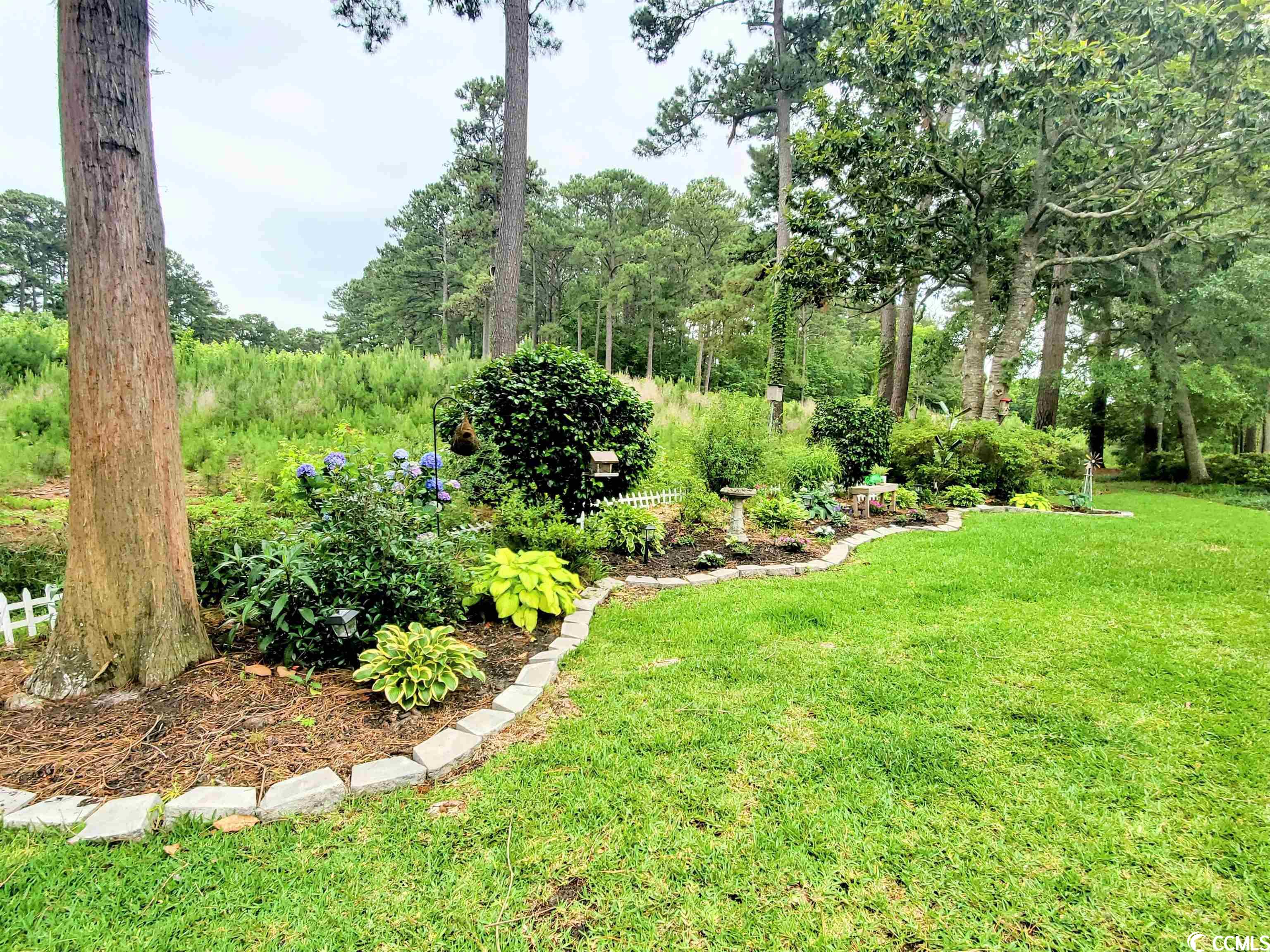 108 Purple Martin Drive Murrells Inlet, SC 29576 - Photo 29 of 37 Gallery Image 29