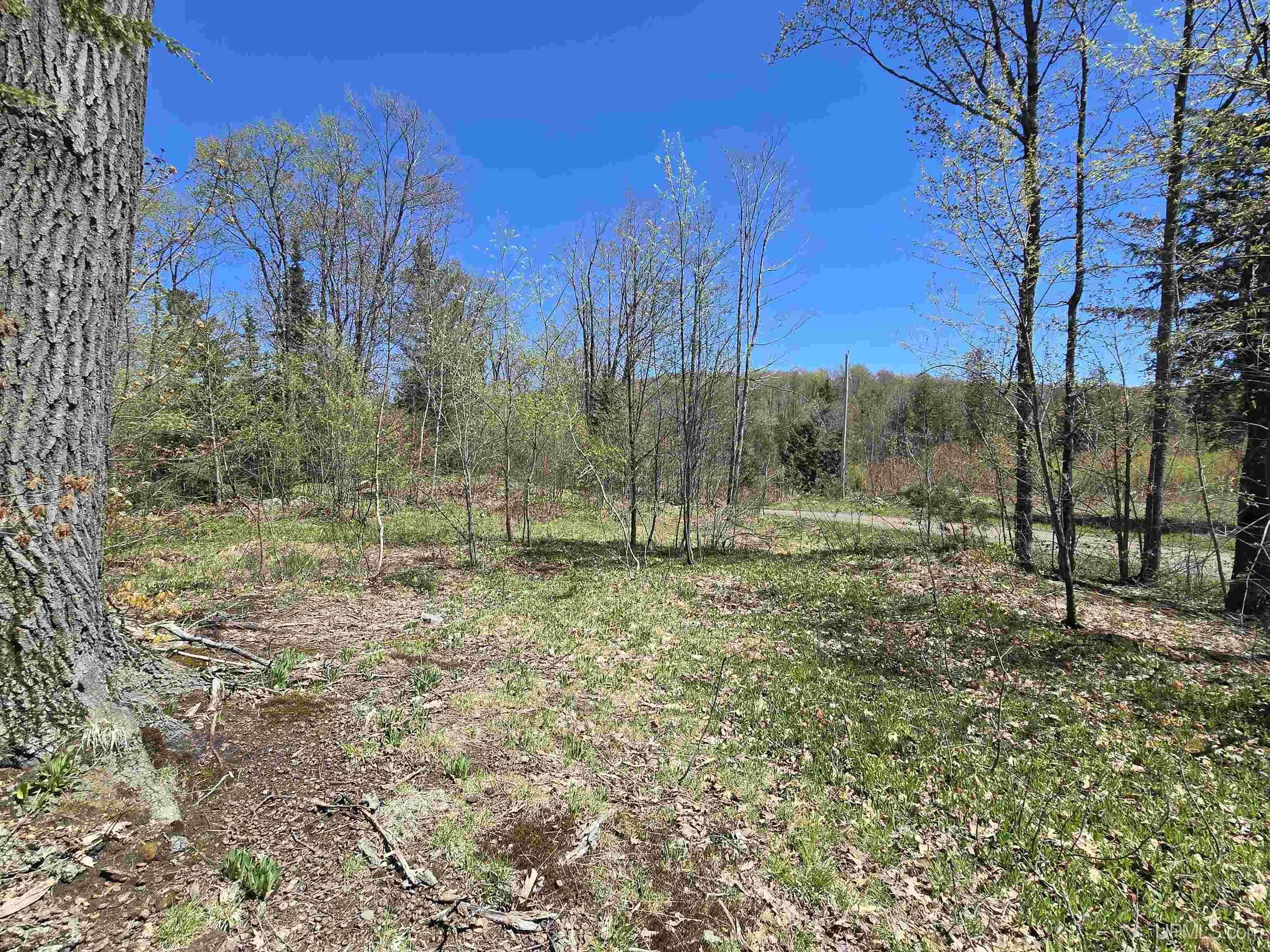 Tbd Murphy Road Covington, MI 49919 - Photo 14 of 57