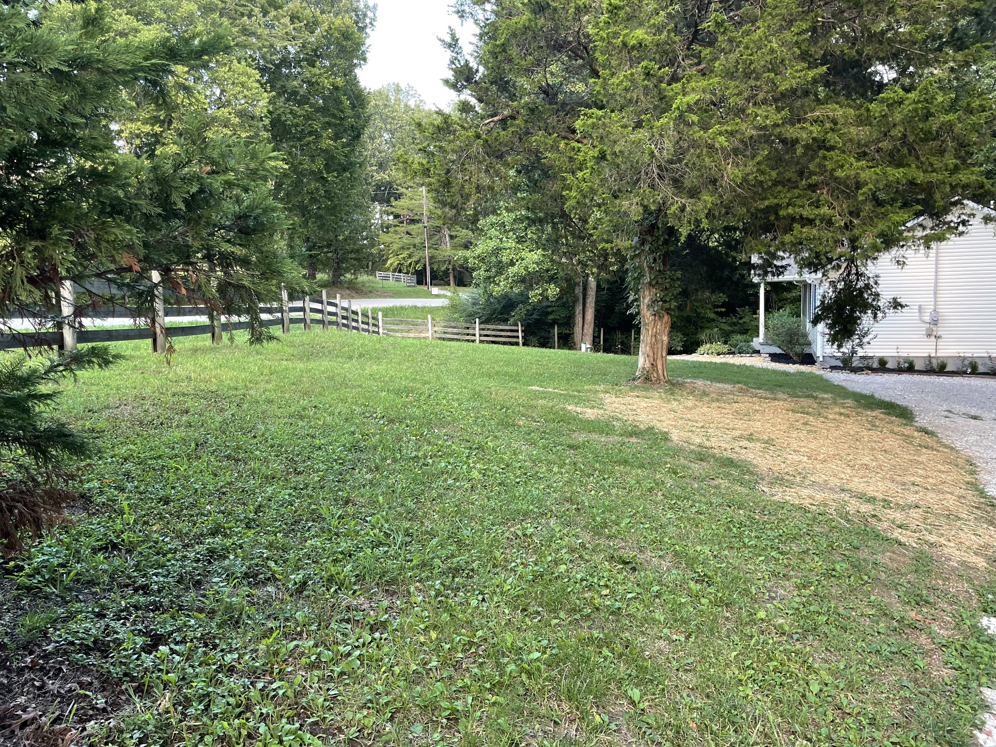 7754 Fernvale Road Fairview, TN 37062 - Photo 31 of 60 a view of a tree in a yard