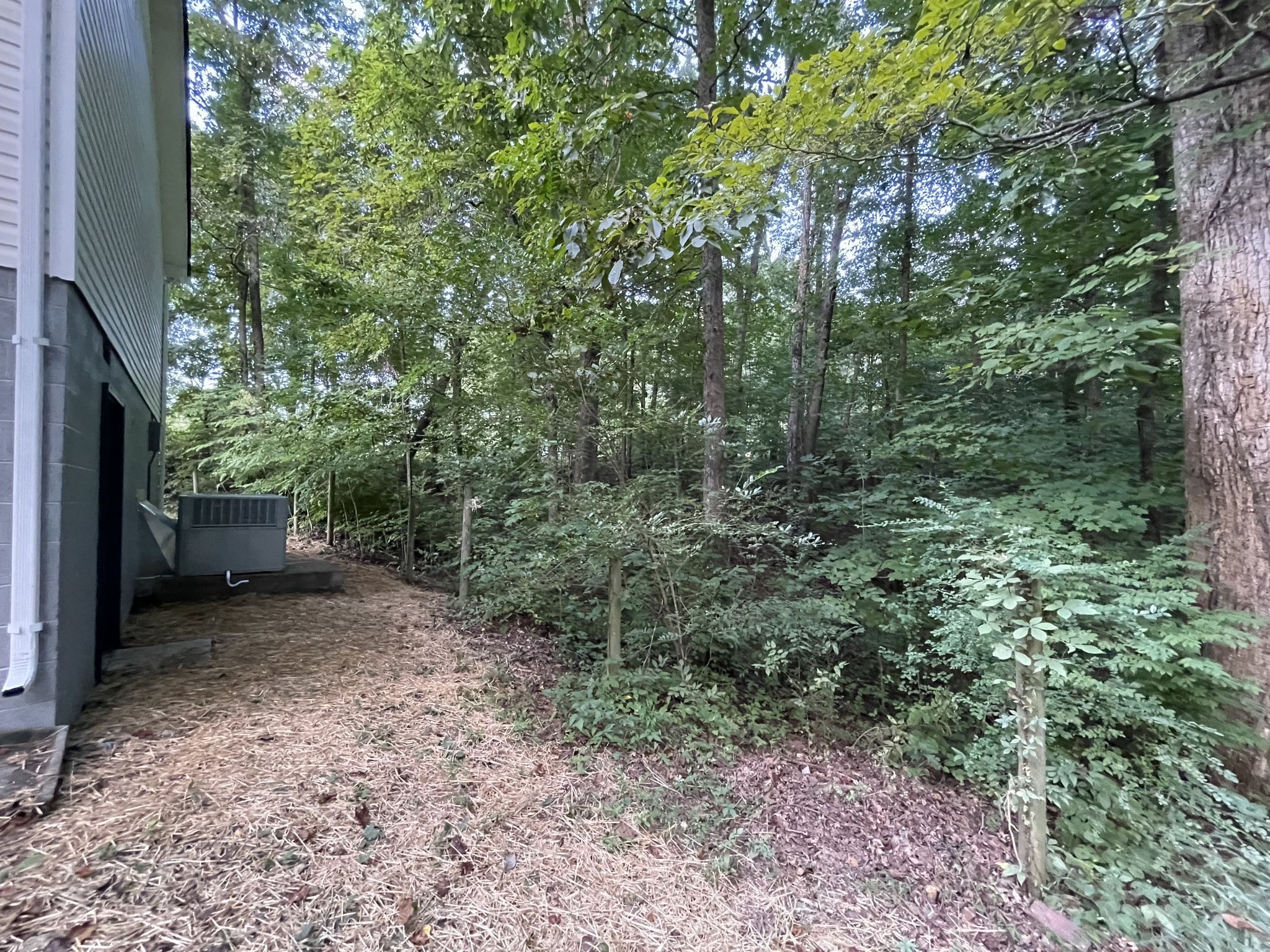 7754 Fernvale Road Fairview, TN 37062 - Photo 47 of 60 a view of a forest with trees in the background