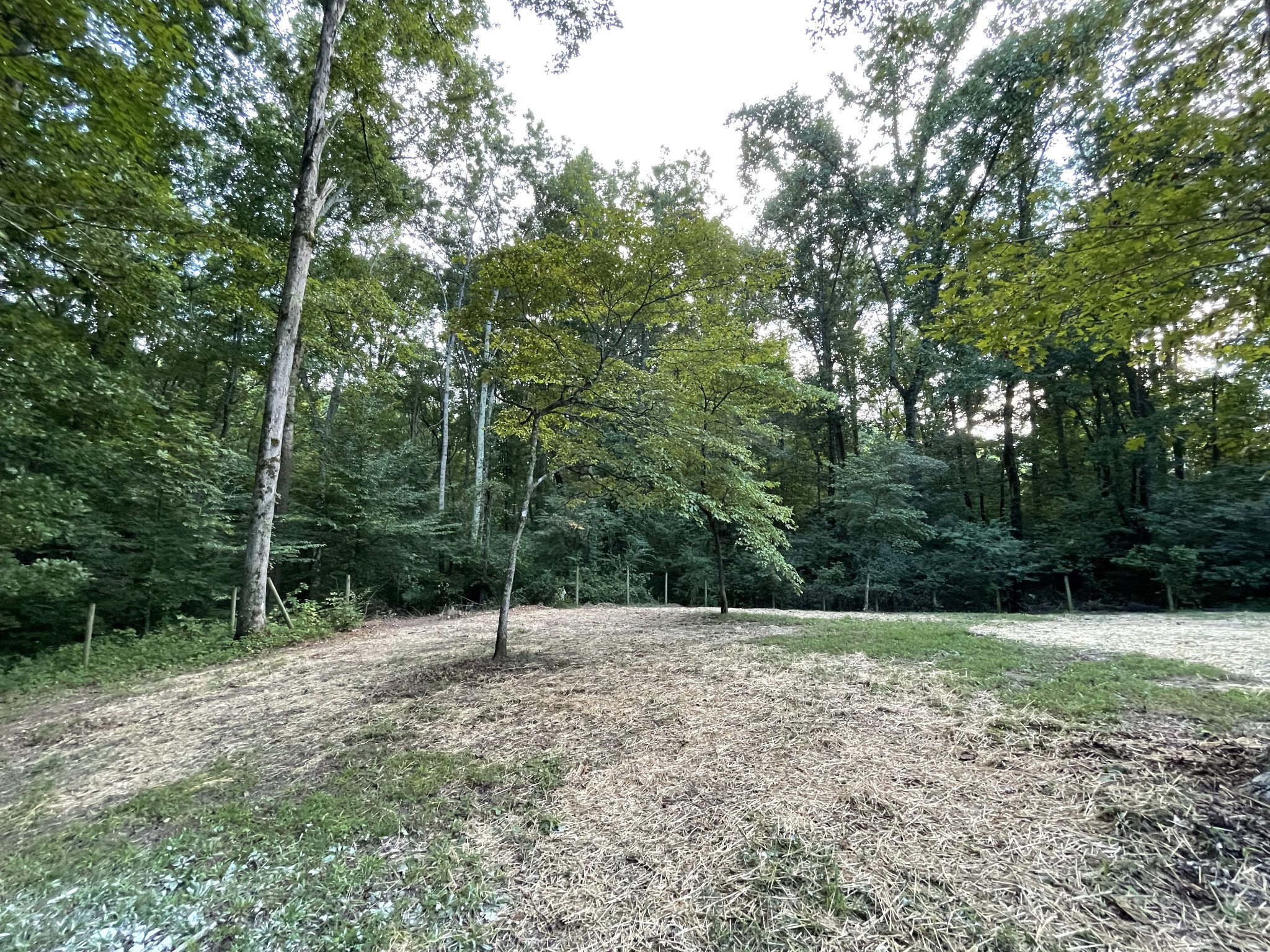 7754 Fernvale Road Fairview, TN 37062 - Photo 50 of 60 a backyard of a house with lots of trees