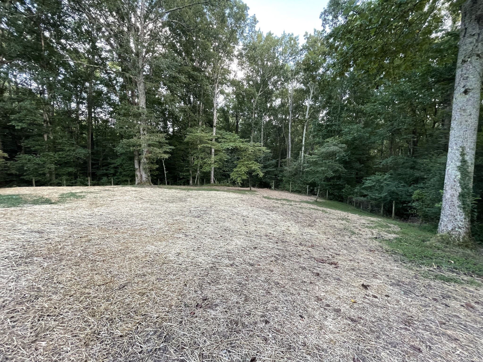 7754 Fernvale Road Fairview, TN 37062 - Photo 51 of 60 a outdoor space with lots of trees