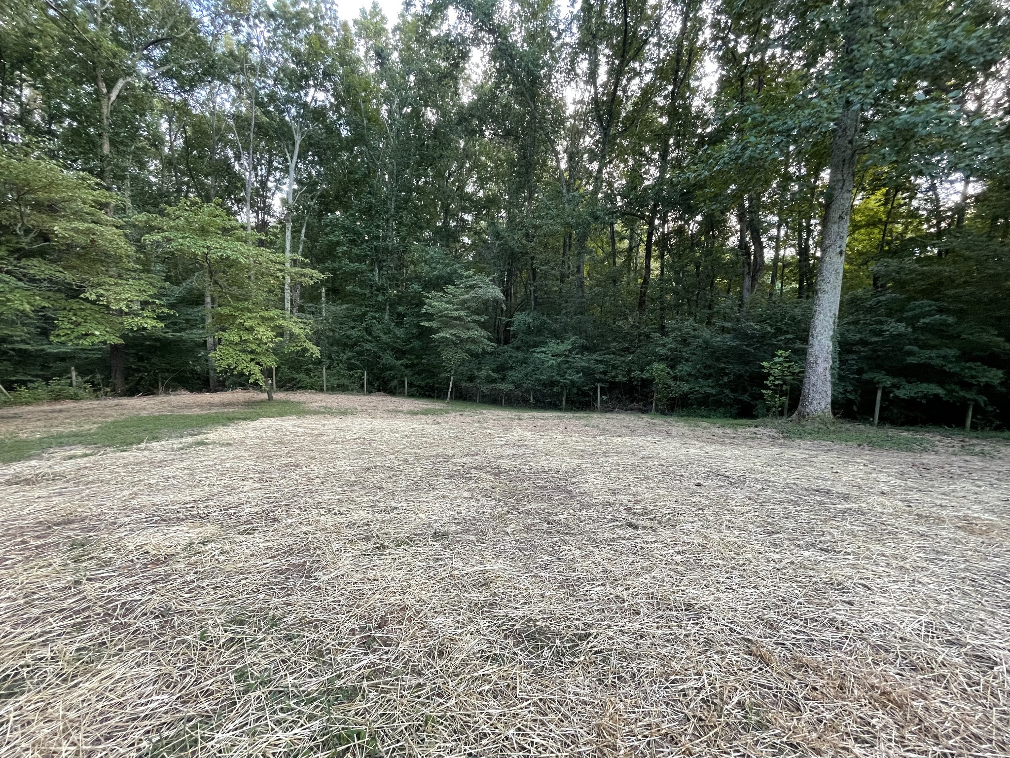 7754 Fernvale Road Fairview, TN 37062 - Photo 52 of 60