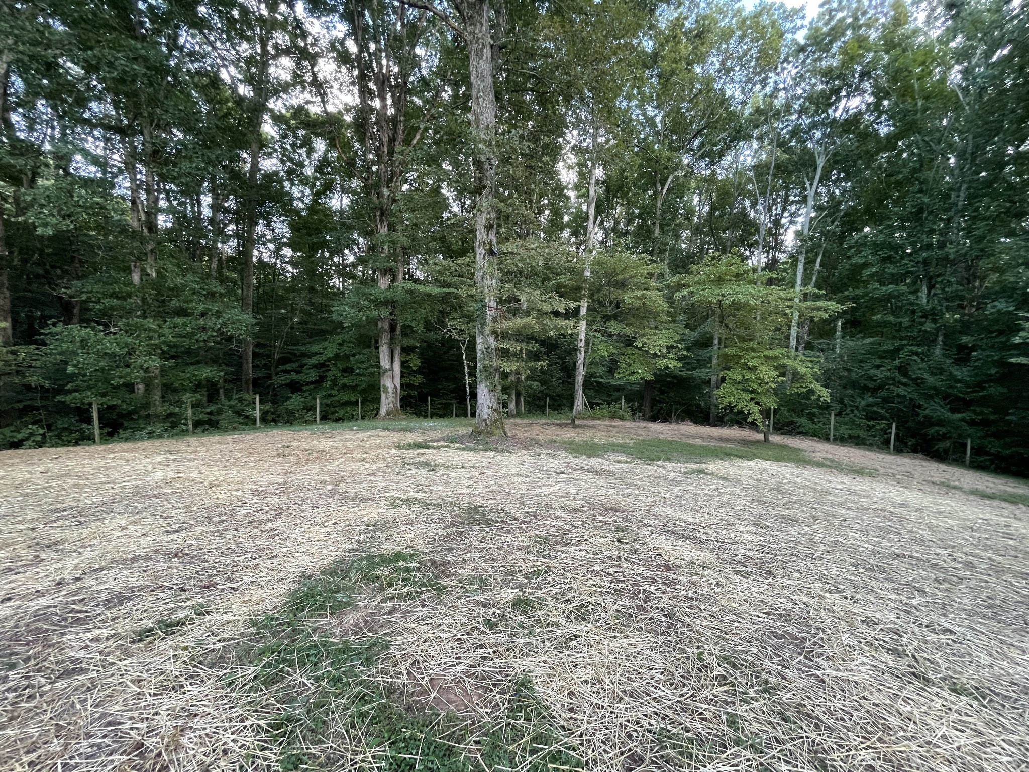7754 Fernvale Road Fairview, TN 37062 - Photo 53 of 60 a view of outdoor space with deck and yard