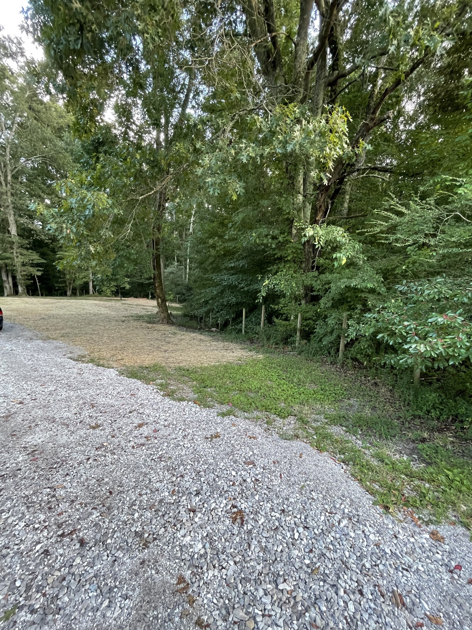 7754 Fernvale Road Fairview, TN 37062 - Photo 54 of 60