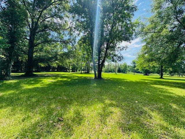 31378 South River Road Angie, LA 70426 - Photo 21 of 24 Photo 21