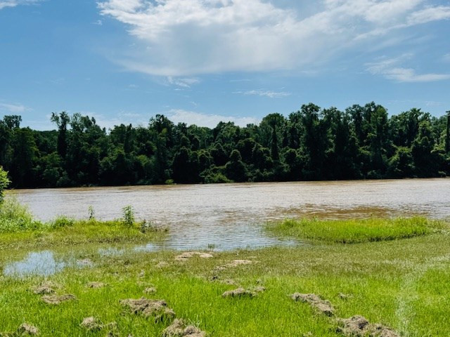 31378 South River Road Angie, LA 70426 - Photo 22 of 24 Photo 22