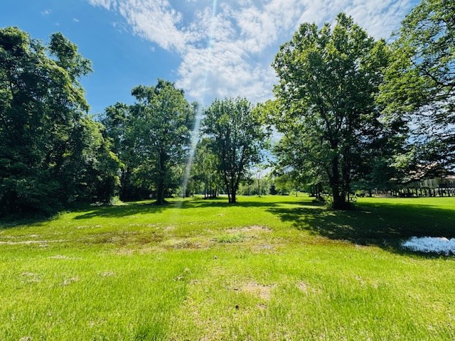 31378 South River Road Angie, LA 70426 - Photo 6 of 24 Photo 6