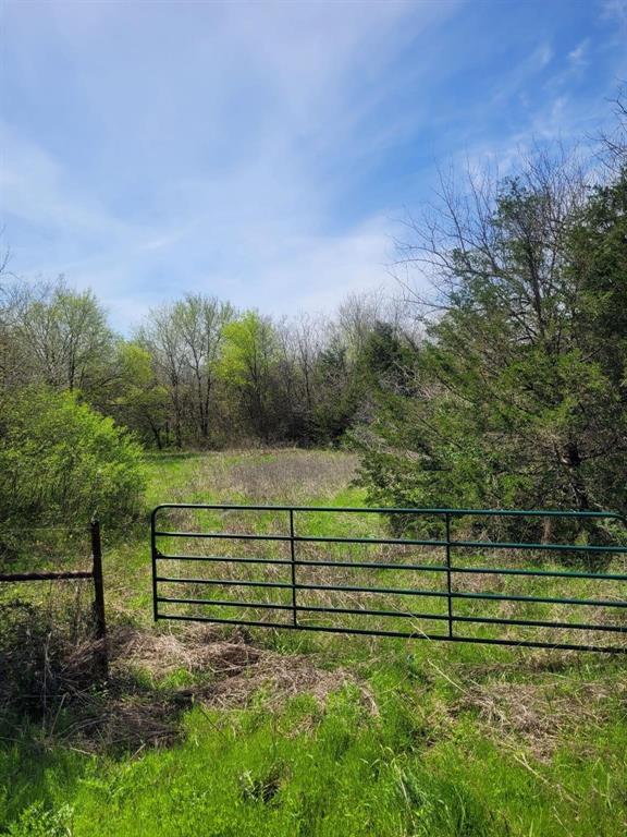 Tbd Tbd Cr-1076 Celeste, TX 75423 - Photo 1 of 1 a view of a park