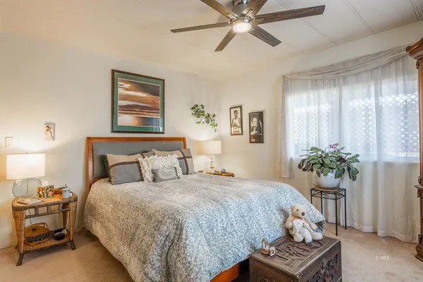 a bedroom with a bed potted plant and a window