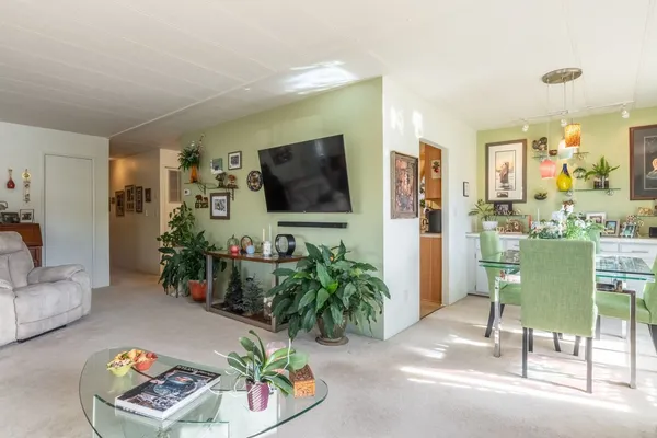 a living room with furniture and a potted plant