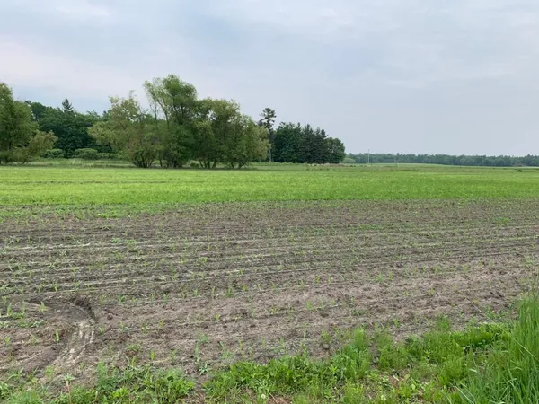 $275,000 | 40-acres 40-acres 5th Camp, Camp Douglas, WI 54618