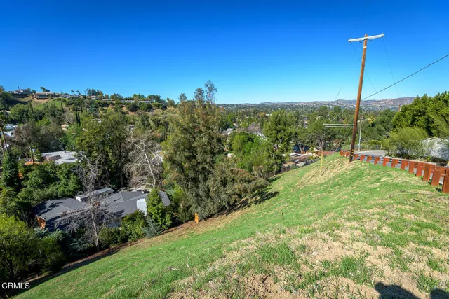 a view of a city with a tree in the background