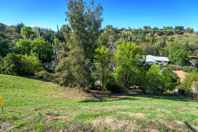 a view of a park with large trees