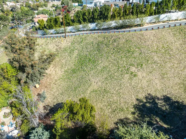 a view of a large yard with plants and large trees