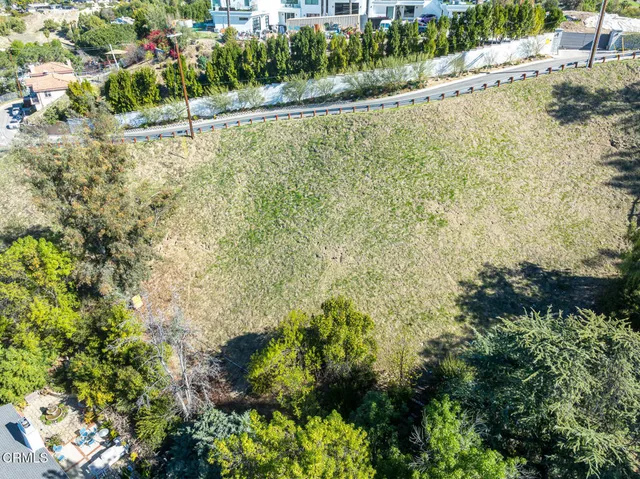 a view of a yard with plants