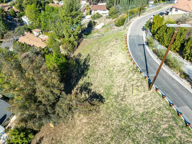 a view of a yard with plants