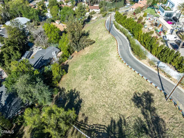 a close up of a flower in a garden