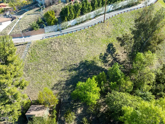 a view of a large garden with plants and large trees