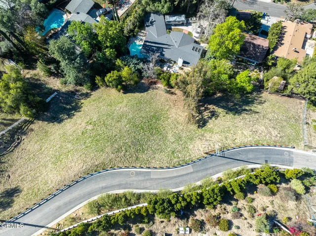 a view of a yard with plants