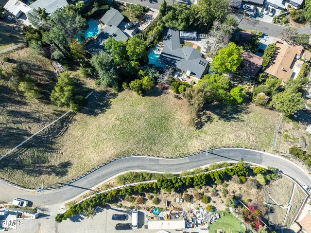 a view of a garden with plants