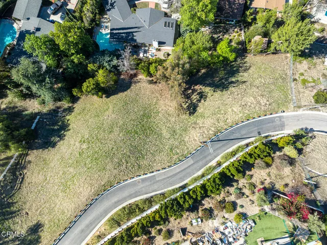 a white vase with flowers