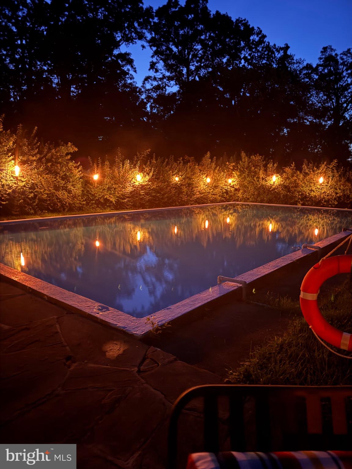 4561 Weston Road Catlett, VA 20119 - Photo 45 of 59 Guests love a poolside glow under twilight skies.