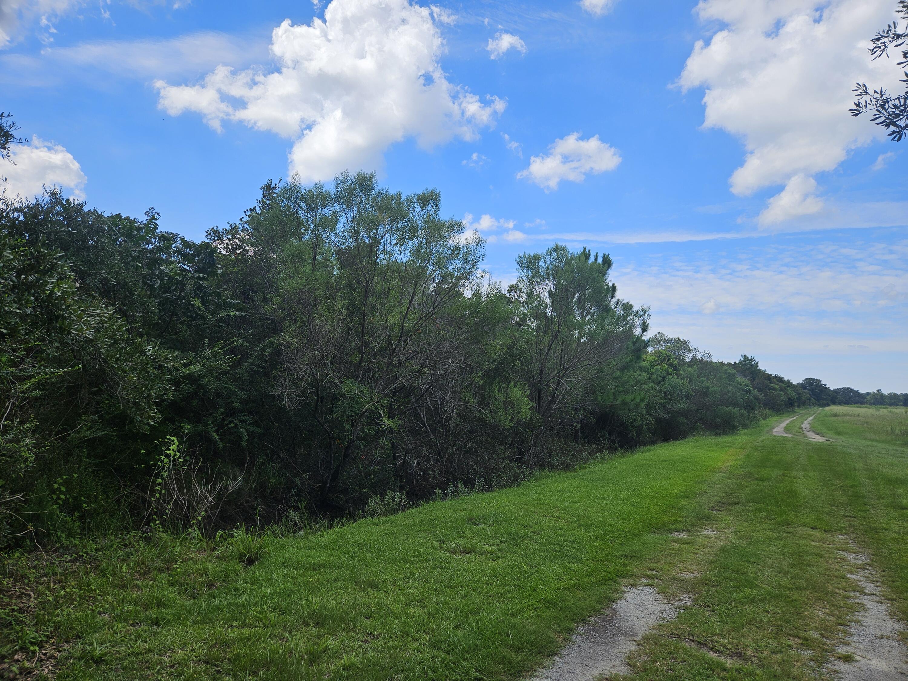 0 Jenkins Farm Road Johns Island, SC 29455 - Photo 4 of 5 1000005218