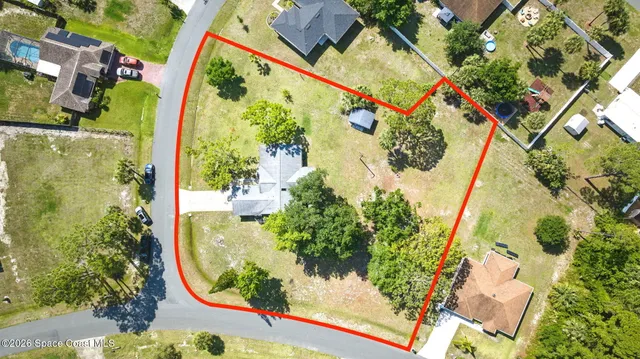 a view of a plant in a garden