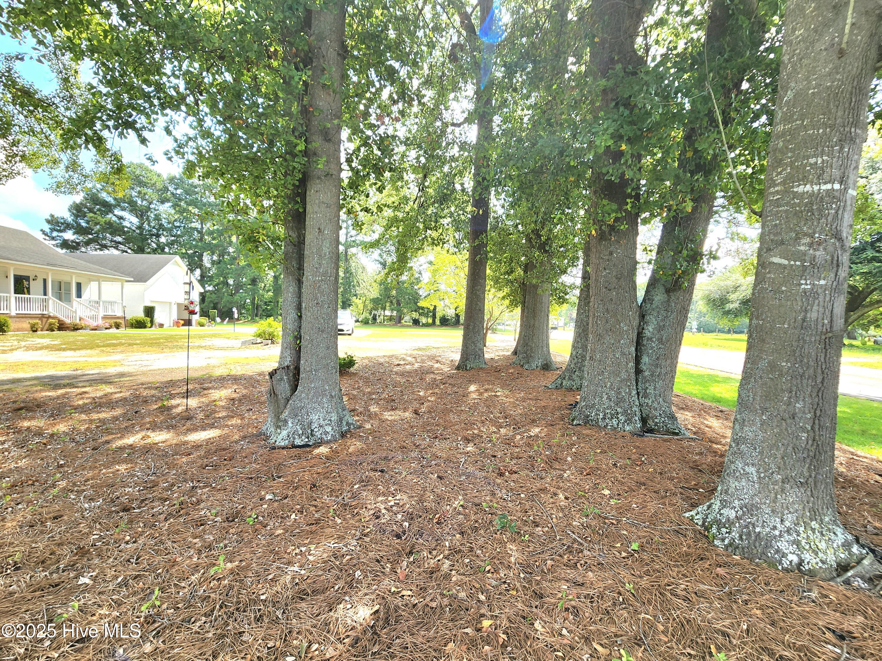 1731 Halltown Road Autryville, NC 28318 - Photo 43 of 59 20250723_110046