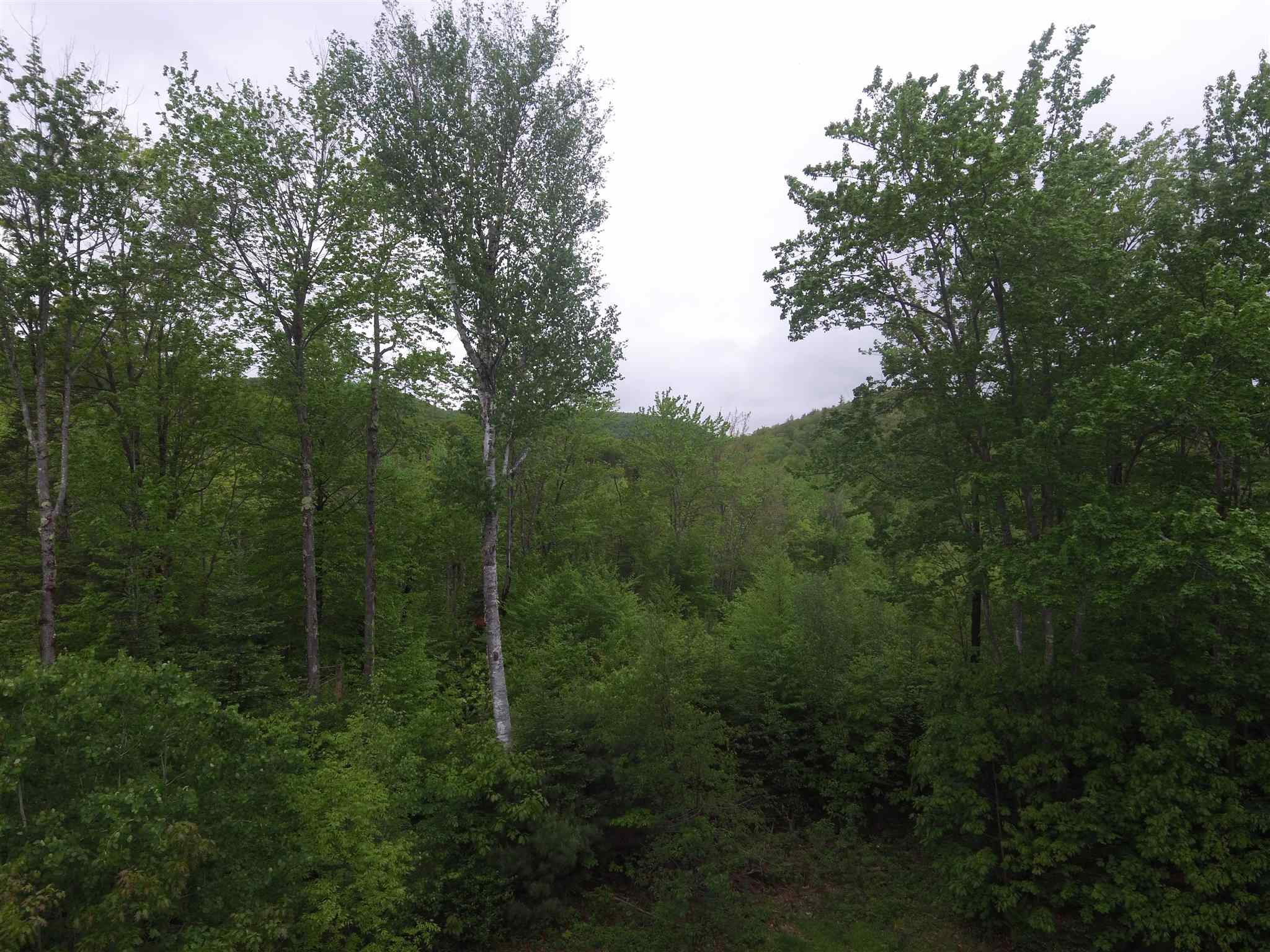 128 Quaker Path Road Wilmot, NH 03287 - Photo 25 of 27 Gallery Image 25