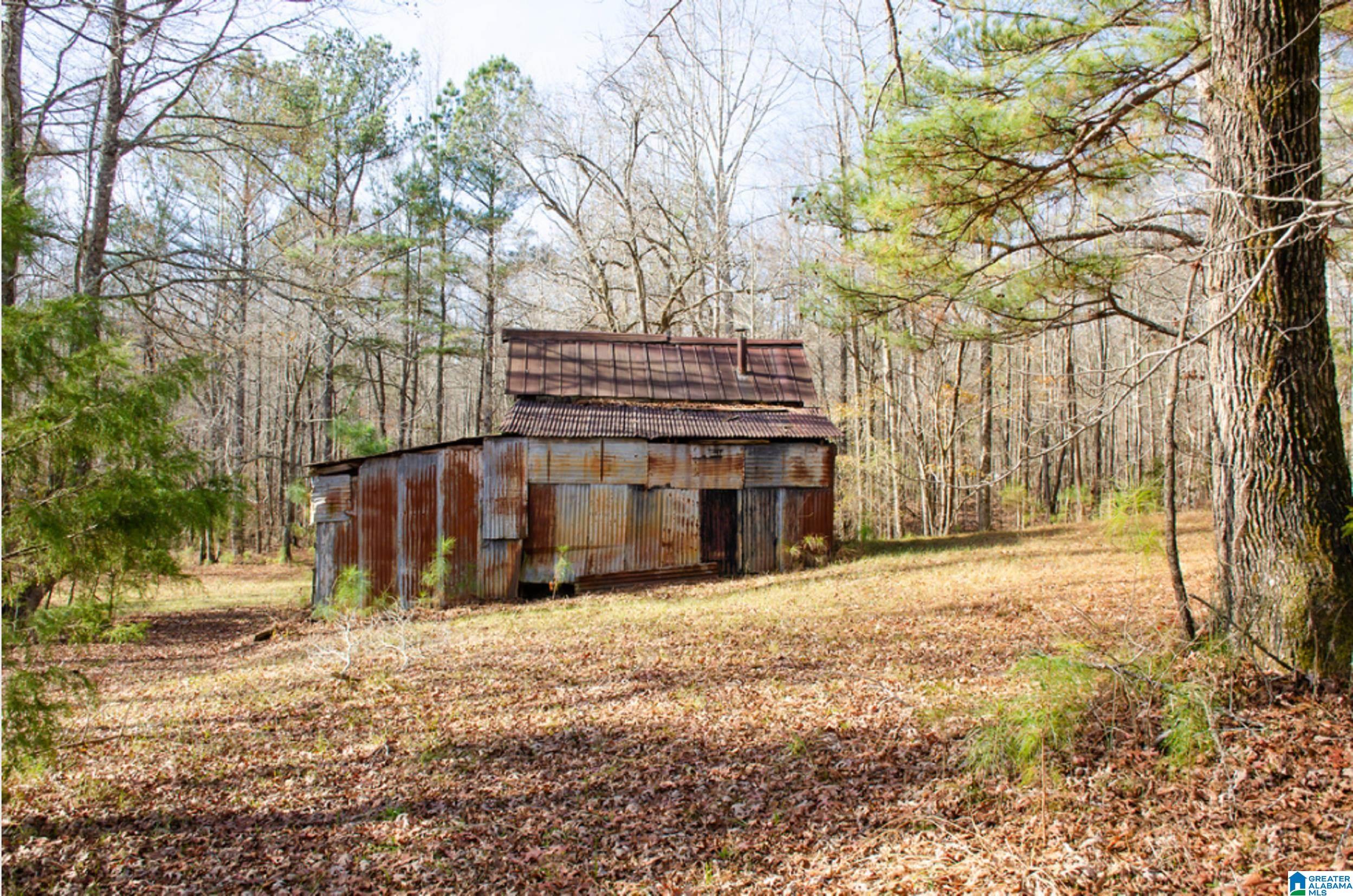 322 Rock Creek Road Remlap, AL 35133 - Photo 50 of 54 Gallery Image 50
